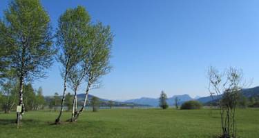libellenweg-bei-oberhofen-am-irrsee-16632-1