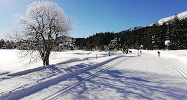 Loipe am See