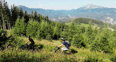Uphill am Josefsberg mit Ausblick ins Alpenvorland.