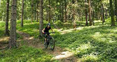 Am Hillbilly Bypass Trail am Josiberg