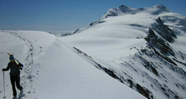 Blick zum Cevedale
