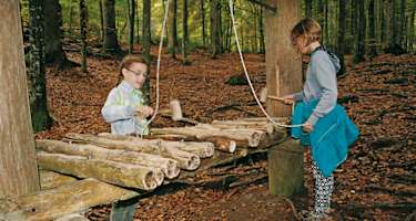 Musik am Wald-Xylophon: Wer erkennt das Lied, das hier gespielt wird?