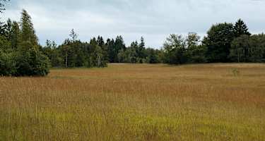 Naturschutzgebiet