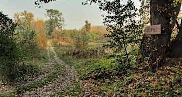 Die Wanderwege sind mit dem Hinweisschild "Donau" markiert.