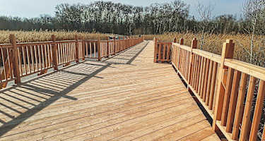 Der Josefsteg am Naturlehrpfad Obere Lobau