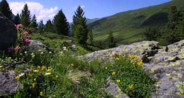 Panorama Flüela Schwarzhorn
