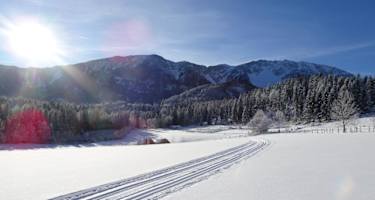 Panoramaloipe Puchberg
