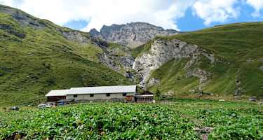 Alp Foppa