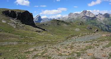 Alp Negna