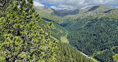 Blick vom Zirbenweg östlich von Boscheben ins Viggartal