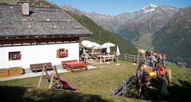 Waldneralm im Ahrntal