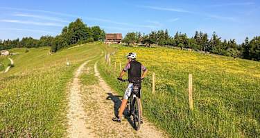 Mit dem Mountainbike auf der Remschniggalm in der Südsteiermark