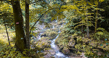 Bärenschützklamm