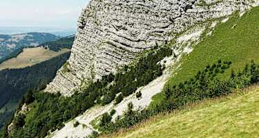 Dent De Jaman