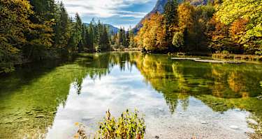 Taubensee