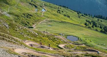 Hacklberg Trail