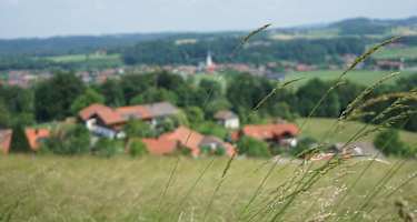Blick auf Frasdorf