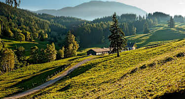 Auf dem Weg zum Schober kommt man bei der gleichnamigen Alm vorbei.