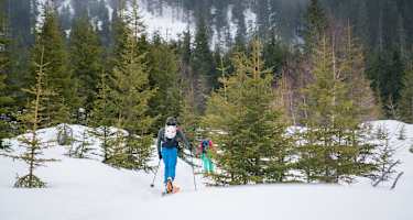 Auf dem Weg zur Jungeralm