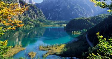 Almsee