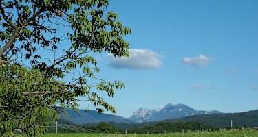Siegsdorfer Sommerlandschaft
