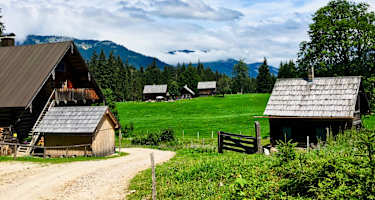 Steinitzenalm