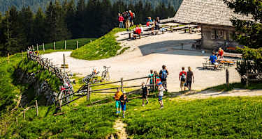Stoißeralm
