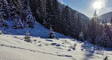 symbolbild_winter_4