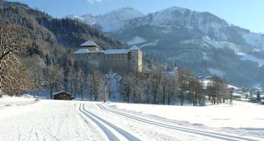 Blick zum Schloss