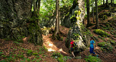 Teufelsgasse am Leerberg