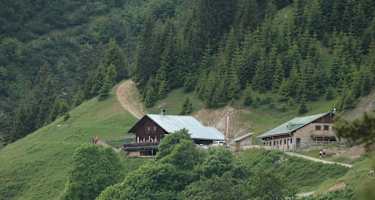 Thaurer Alm
