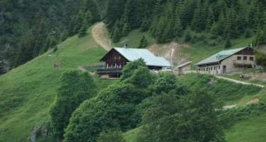 Thaurer Alm