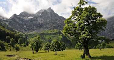 Großer Ahornboden im Naturpark Karwendel