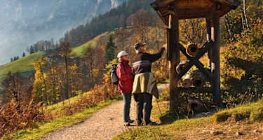 Deicheln am Soleleitungsweg