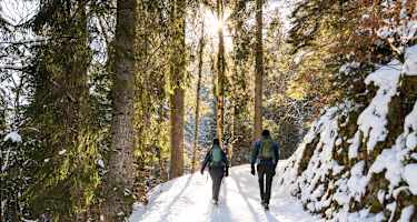 Winterwanderung zum Freibergsee.