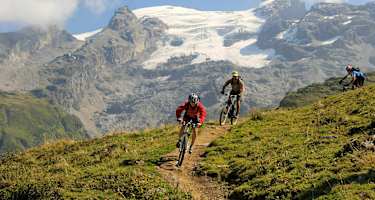 Downhill am Trudy Trail