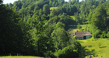 Blick zum Uetliberg