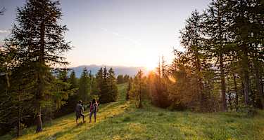 Unterwegs auf dem weichen Almboden der Hochrindl