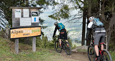 Variante bei der Abfahrt: Freeride-Trails Alpenbikepark Chur