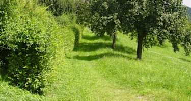 vitalweg-in-wallern-an-der-trattnach-17091-0