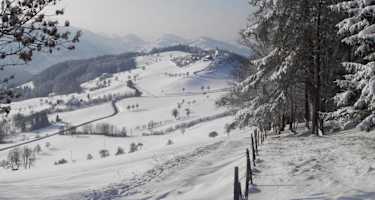 Knapp vorm Schobersberg - Blick auf Windhag