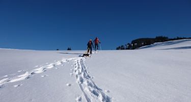 Von der Bolgenachbrücke auf den Burstkopf
