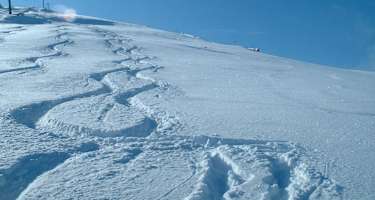 Purer Powder-Spass