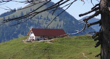 Alm und Wohnung