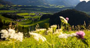 von-koessen-zum-taubensee-6942-0