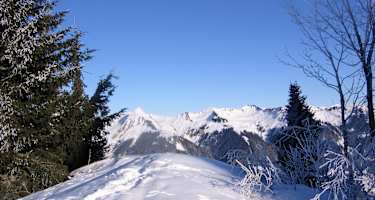 Ausblick vom Gipfel