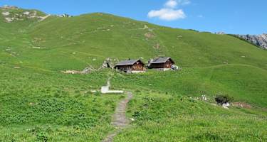 Alpe Sareis
