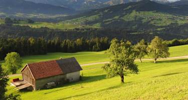 Schöner Ausblick auf die Umgebung