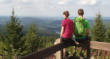 Blick vom Auersberg auf das Köhlerdorf Sosa