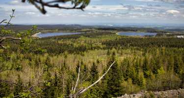 Blick vom Kahleberg